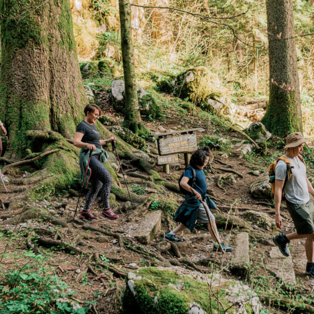 Vier Wanderer erkunden gemeinsam einen naturbelassenen Wanderweg im Wald von Gorski Kotar, umgeben von moosbedeckten Bäumen und Felsen.