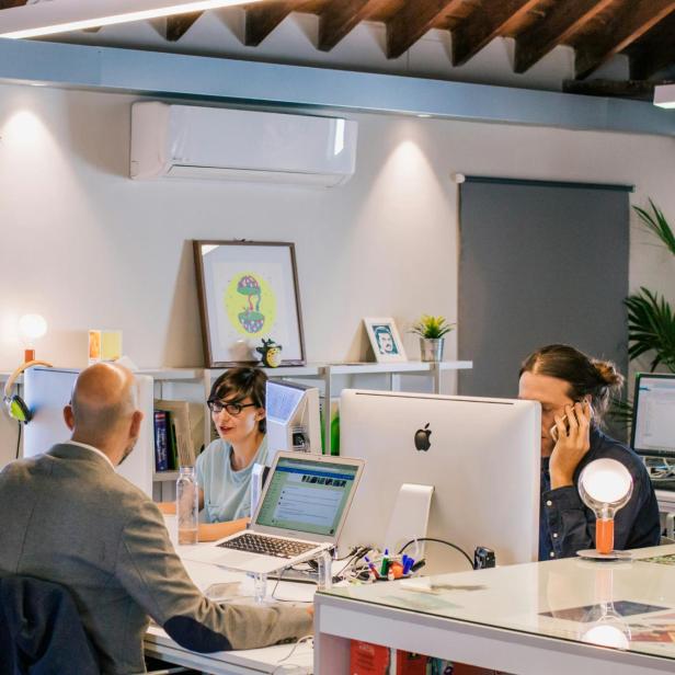Drei Personen arbeiten an Schreibtischen mit Computern in einem modernen, hellen Büro mit Pflanzen und Dekoration.