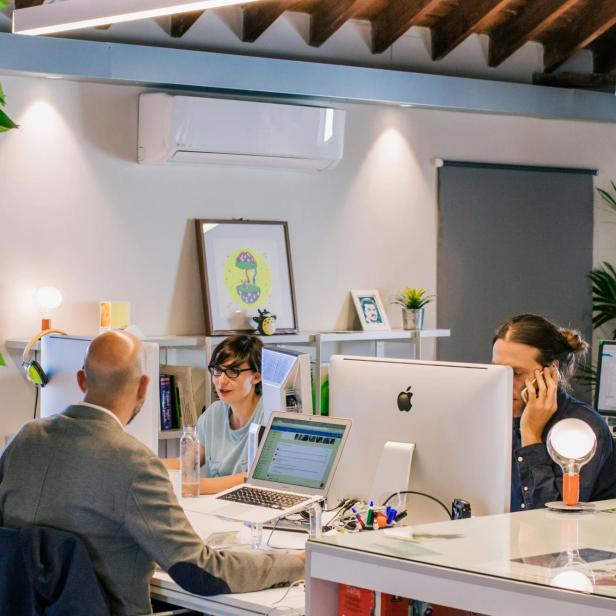Drei Personen arbeiten an Schreibtischen mit Computern in einem modernen, hellen Büro mit Pflanzen und Dekoration.