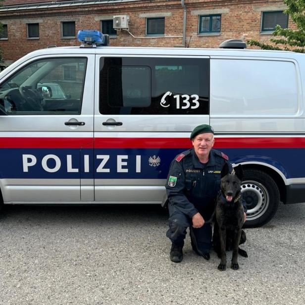 Der Diensthundeführer mit Polizeihund Nox.
