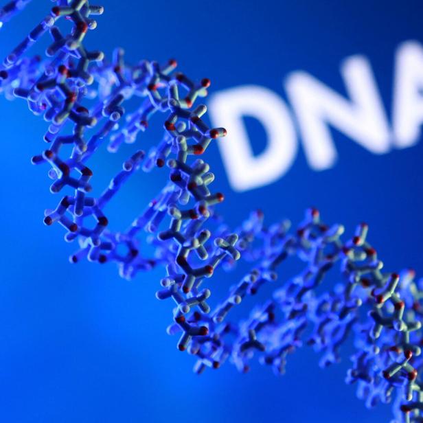Das Bild zeigt eine Illustration einer DNA-Doppelhelix, dem Träger des Erbgutes, mit der Aufschrift DNA.