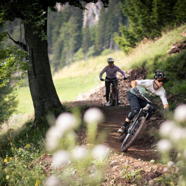 Zwei Mountainbiker fahren auf einem Waldweg, der vordere trägt Helm und Schutzkleidung, im Vordergrund unscharfe Blüten.