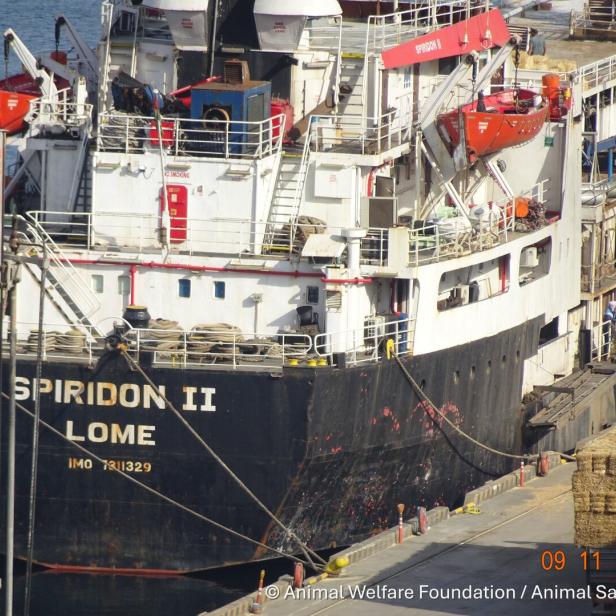 Ein Frachtschiff mit dem Namen SPIRIDON II liegt am Hafen, daneben sind gestapelte Ballen zu sehen.