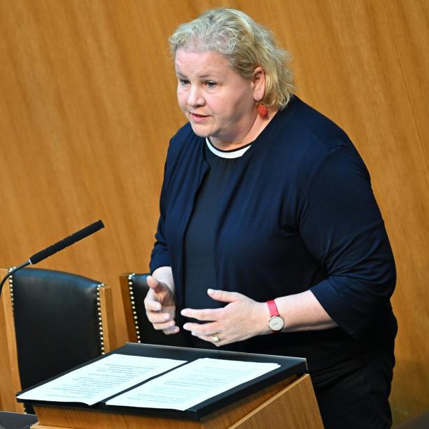 NATIONALRAT MIT BUDGETREDE: SCHUMANN (SPÖ)