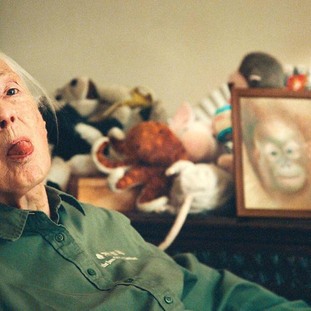 Richard Ladkani fotografierte Jane Goodall.