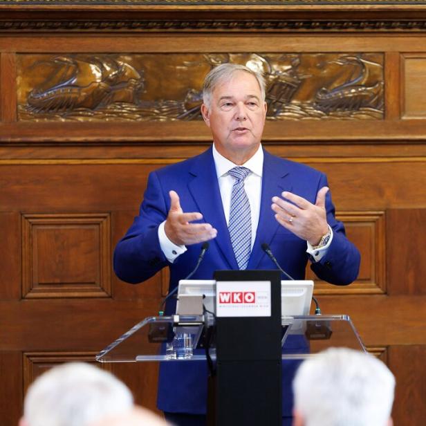 Walter Ruck, Präsident WK Wien