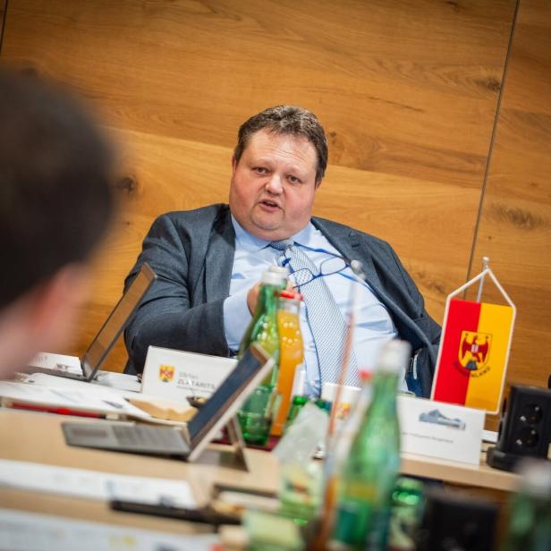 Mann im Anzug spricht an einem Konferenztisch vor Holzwand und Fahne.