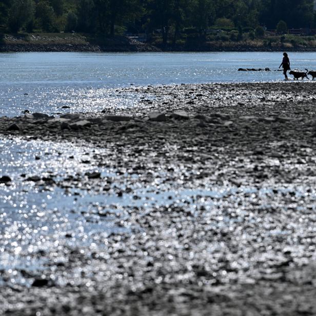 ++ THEMENBILD ++ KLIMA / TROCKENHEIT / WASSER / DONAU