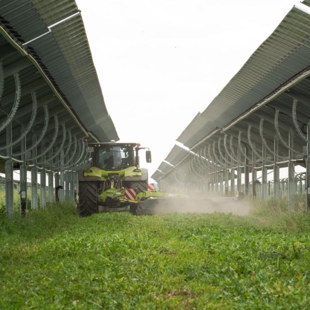 Ein Traktor mäht Gras zwischen langen Reihen von Solarmodulen und wirbelt Staub auf.
