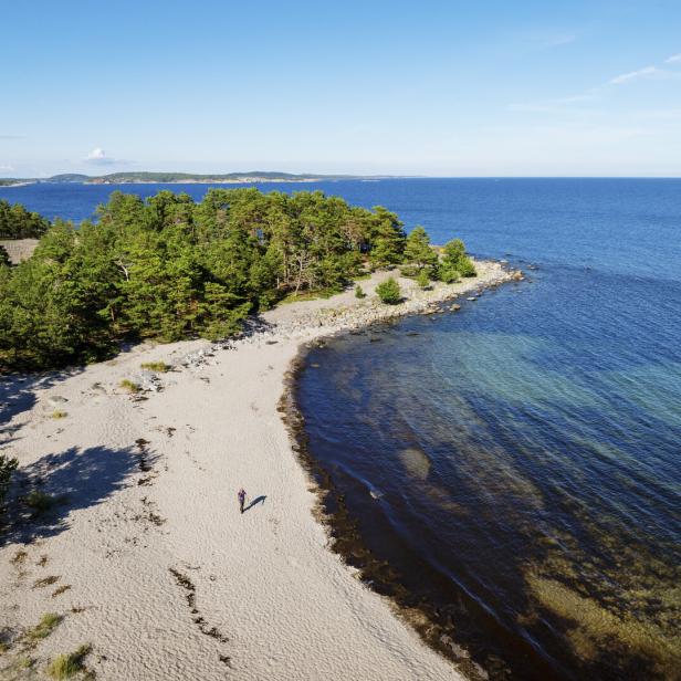 Eine Person geht an einem sandigen Küstenabschnitt entlang, der von einem dichten Kiefernwald und blauem Meer gesäumt ist.