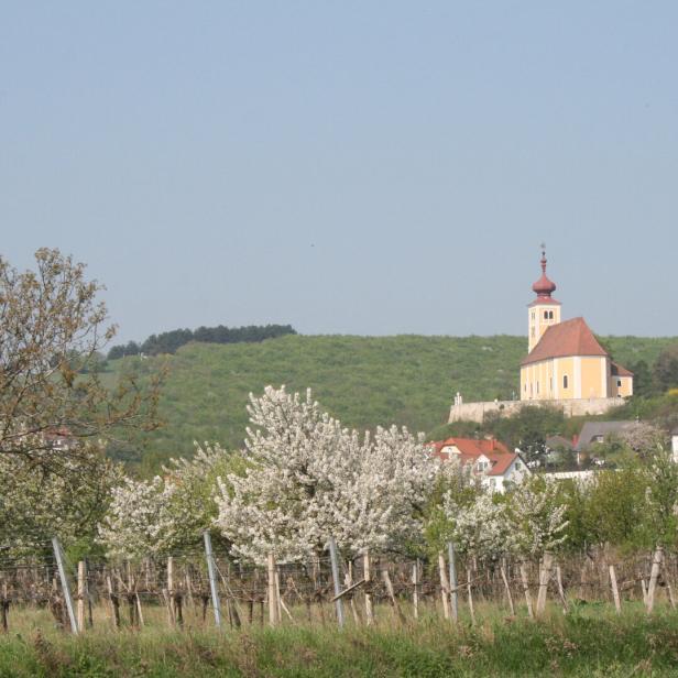 Kirche auf einem Hügel über blühenden Obstbäumen und Dorfhäusern.