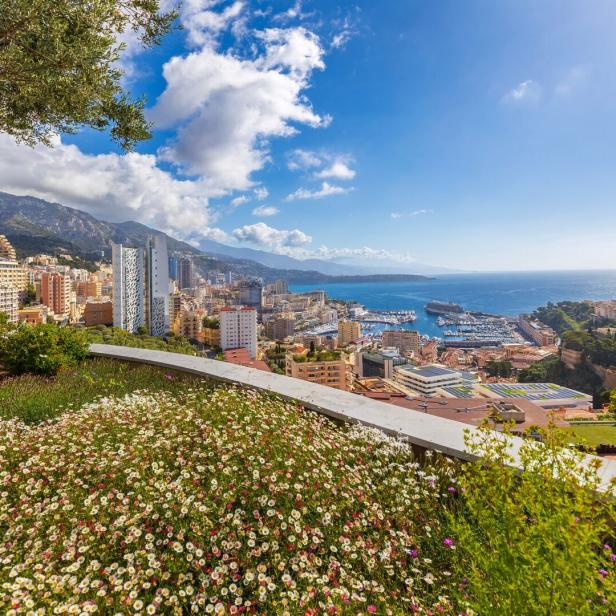 Blick über eine Küstenstadt mit Hafen, Bergen und blauem Meer, im Vordergrund Blumen und ein Baum.