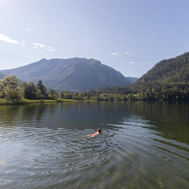 Abkühlung im See