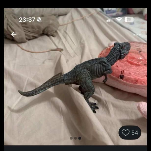 Eine Anzeige auf der Secondhand-Plattform Vinted 