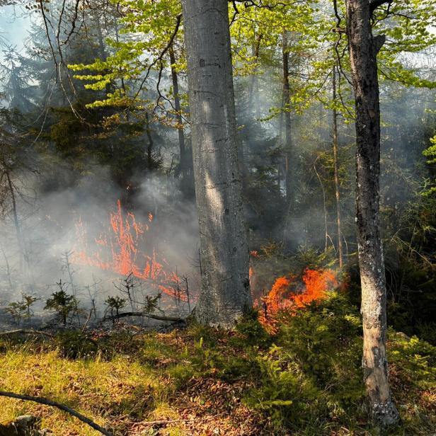 ++ HANDOUT ++ STEIERMARK: WIND BEFEUERT WALDBRAND NÖRDLICH VON GRAZ