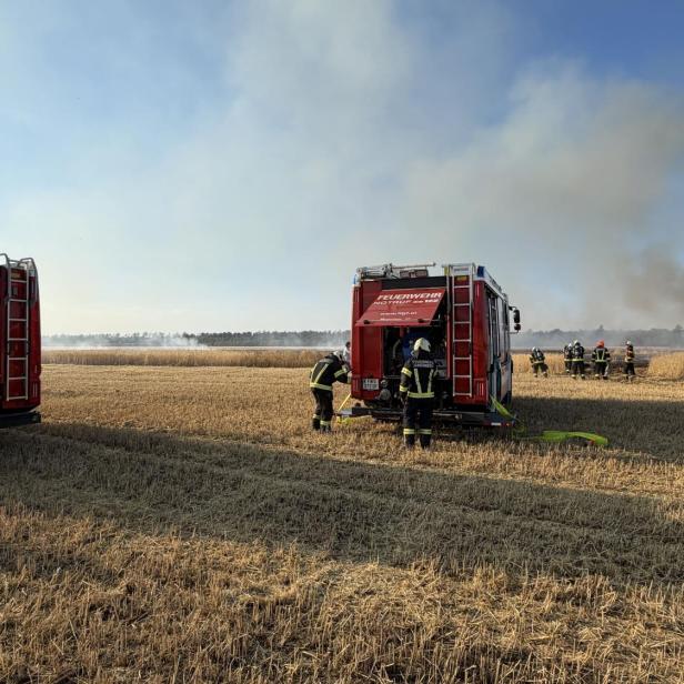 Flurbrand Markgrafneusiedl