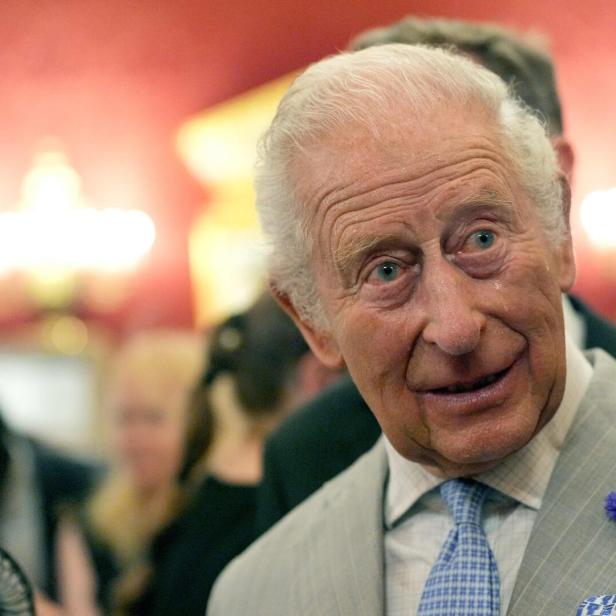König Charles III. trägt einen grauen Anzug mit einer blauen Krawatte und einer violetten Ansteckblume vor einem roten Hintergrund.
