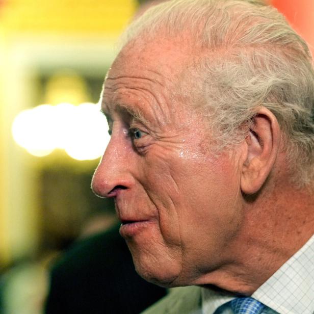 König Charles III. im Profil vor einem roten Hintergrund.