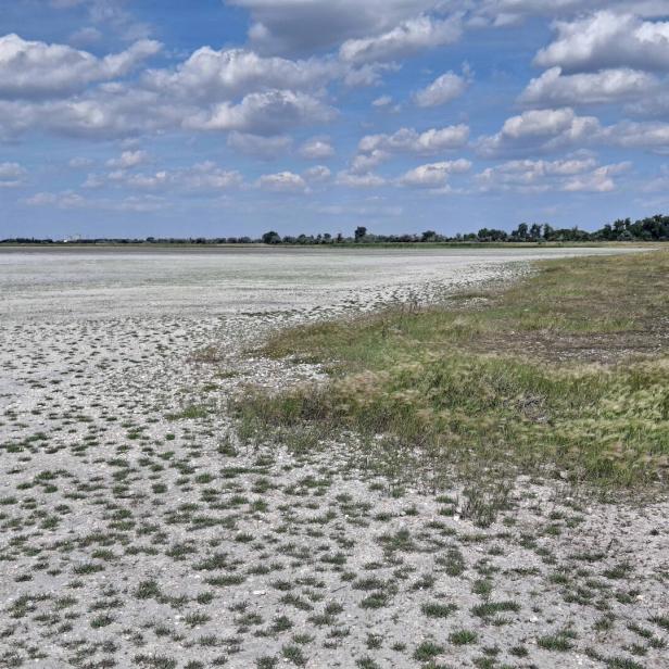 Weite, trockene Gras- und Salzfläche unter blauem Himmel mit vielen Wolken.