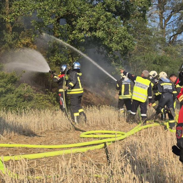 Löscheinsatz bei Waldbrand