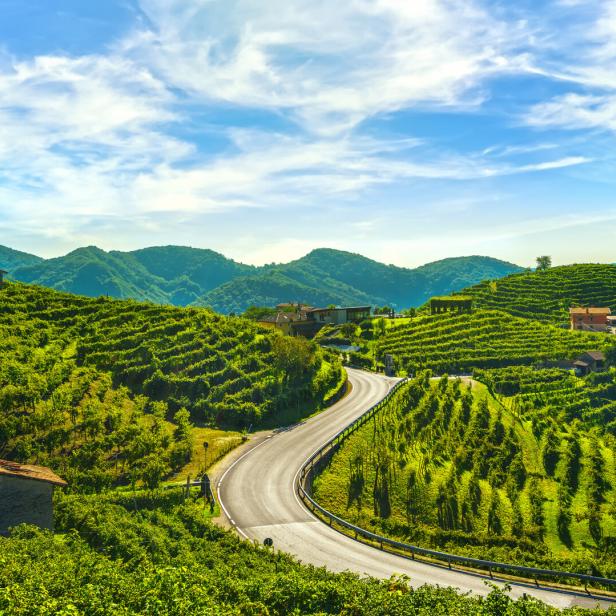 Vineyards and road. Prosecco Hills, Unesco Site. Valdobbiadene, Veneto, Italy