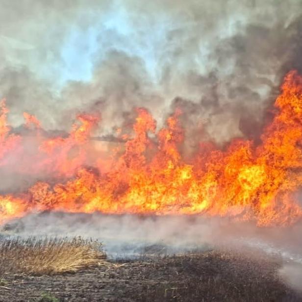Flammen breiten sich über ein Feld aus.