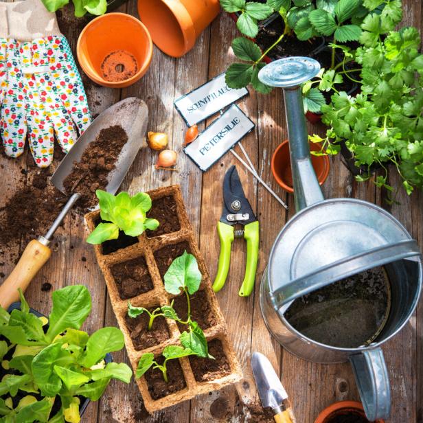 Gartengeräte, Töpfe, Setzlinge und Kräuter auf einem Holztisch für die Aussaat und Pflege im Garten.