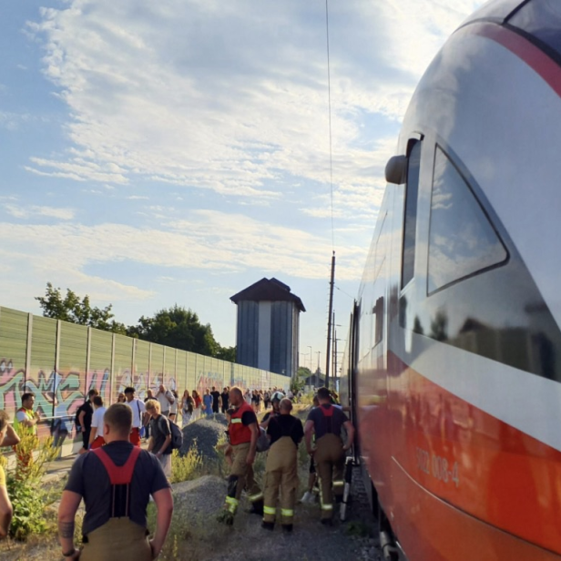 Ein Bild des Regionalzuges und dutzender Passagiere bei der Evakuierung