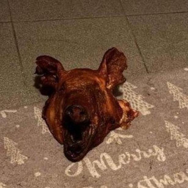 Abgetrennter Schweinekopf auf einem Boden.