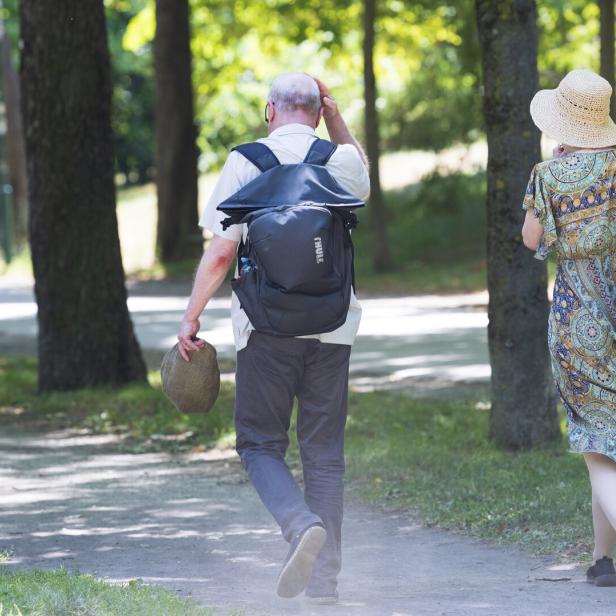 Älteres Paar spaziert mit Hüten und Rucksäcken einen sonnigen Waldweg entlang.