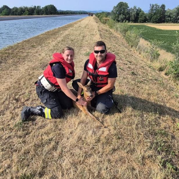 Feuerwehrleute mit Reh