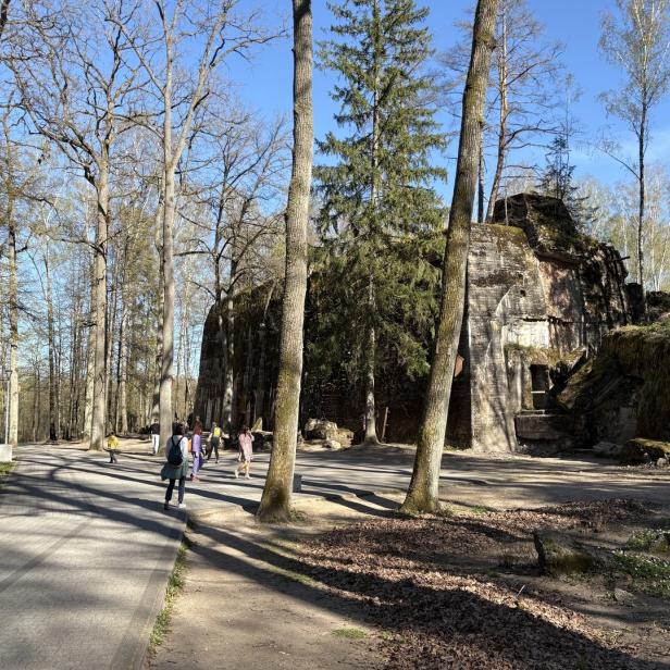 Besucher spazieren an den  Betonruinen der Wolfsschanze in Gierłoż vorbei.