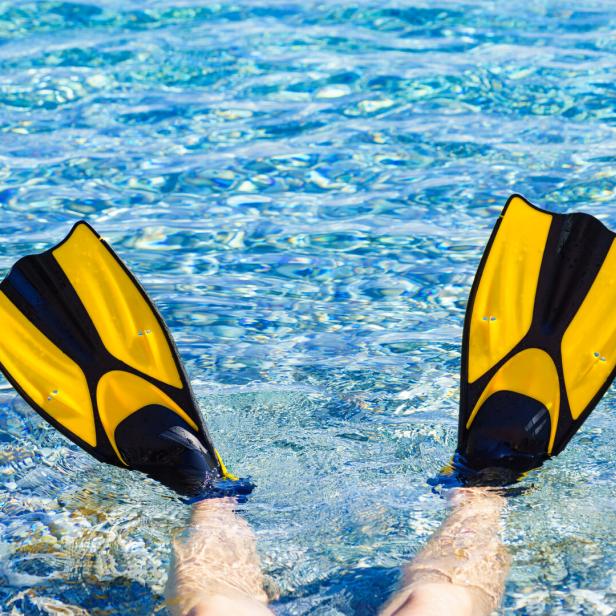Feet in flippers fins on sea shore
