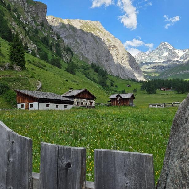 Berghütten auf großer Wiese