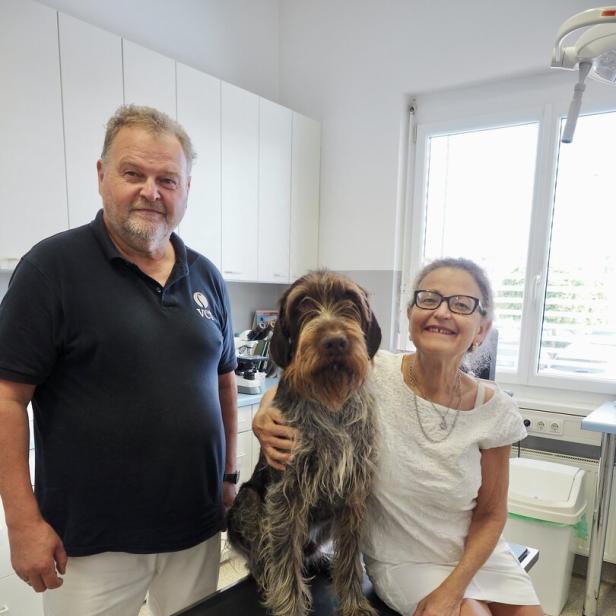 Ein Tierarzt und eine Frau stehen in einer Praxis neben einem auf dem Behandlungstisch sitzenden, zotteligen Hund.