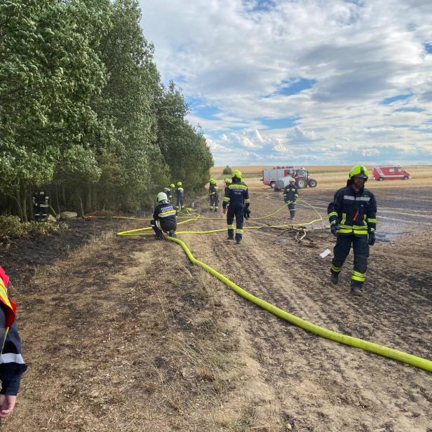 Brand Theras