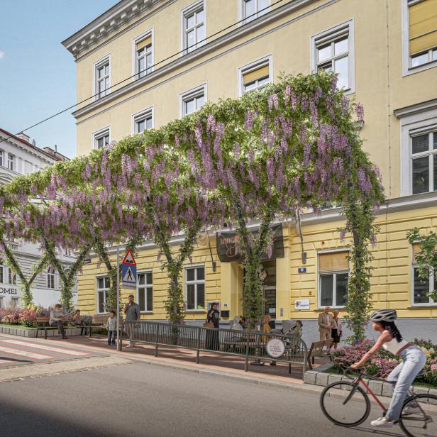 Corneliusgasse, Wien, Mariahilf, Swiftie-Baum