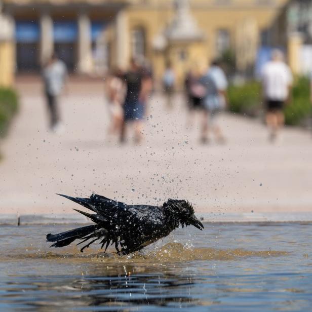 Sommerwetter in Baden-Württemberg