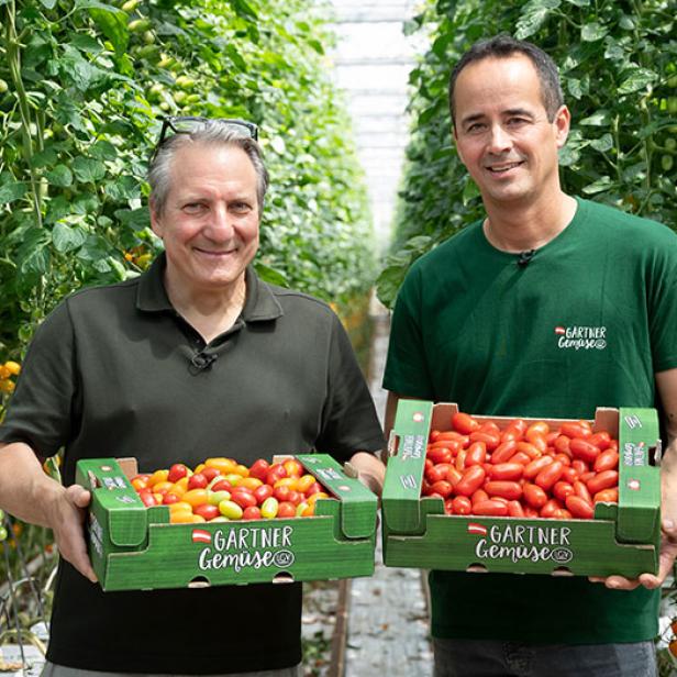 Zwei Männer stehen in einem Gewächshaus und halten jeweils eine grüne Kiste mit Tomaten.