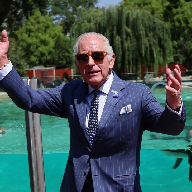 König Charles III. winkt in einem gestreiften Anzug und mit Sonnenbrille vor einem Pinguinbecken.