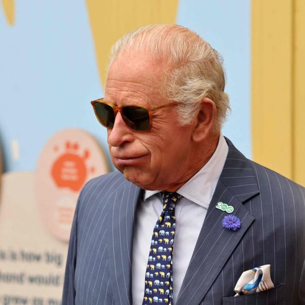 König Charles III. trägt einen gestreiften Anzug, eine Krawatte mit Elefantenmuster und eine Sonnenbrille vor einer bunten Wand.