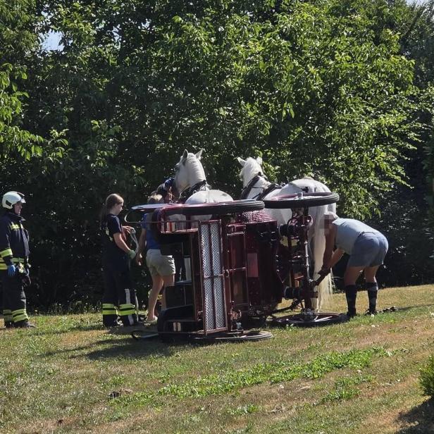 Pferde blieben mit umgestürzter Kutsche in einem Garten stehen