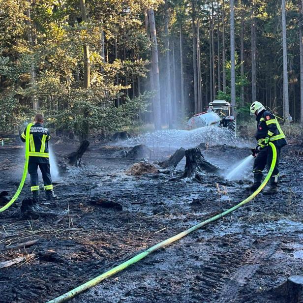 Waldbrand Riegersburg