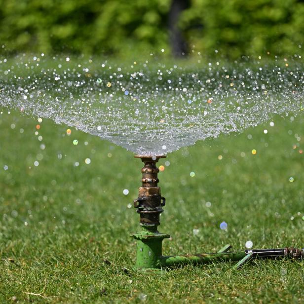 Ein Rasensprenger verteilt Wasser auf einer grünen Wiese.