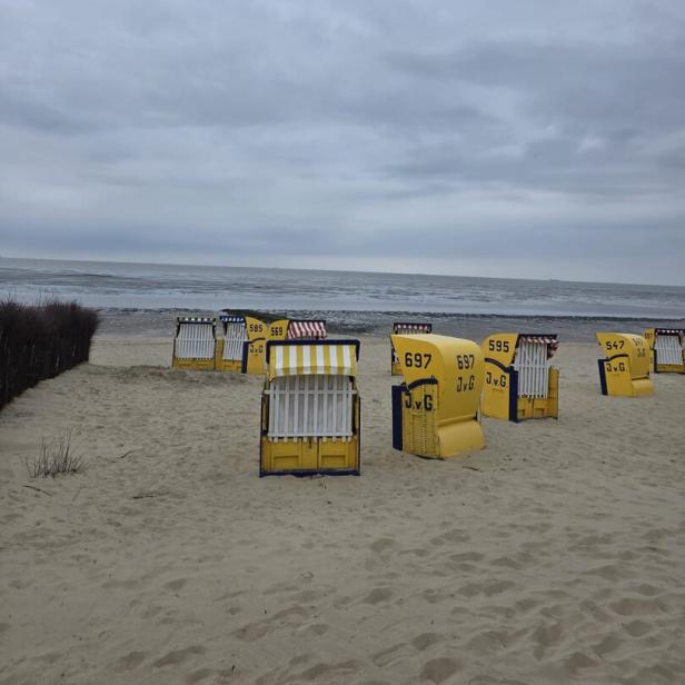 Gelbe Strandkörbe auf leerem Sandstrand vor grauer See und bewölktem Himmel.
