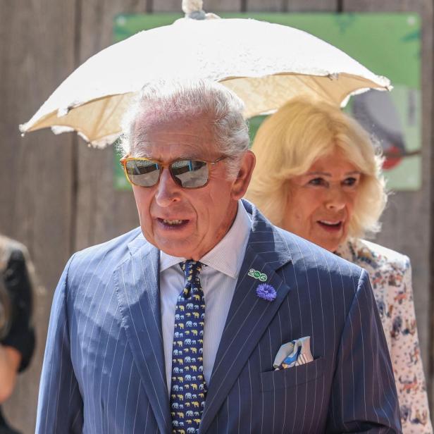 König Charles III. und Königin Camilla spazieren unter einem Sonnenschirm, wobei der König einen blau gestreiften Anzug mit Elefantenkrawatte trägt.