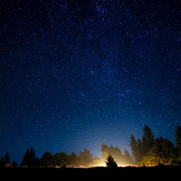 Sternenreicher Nachthimmel über dunklem Wald, am Horizont leuchtet warmes Licht.