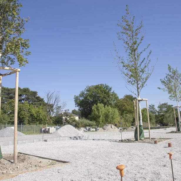 Schwammstadtprinzip umgesetzt im Versuchsgarten der HBLFA Schönbrunn.