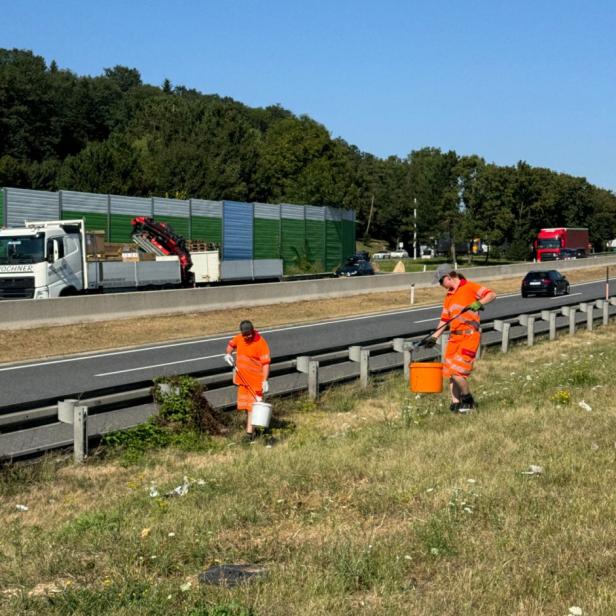Zwei Männer in oranger Warnkleidung sammeln neben der Autobahn Müll ein.