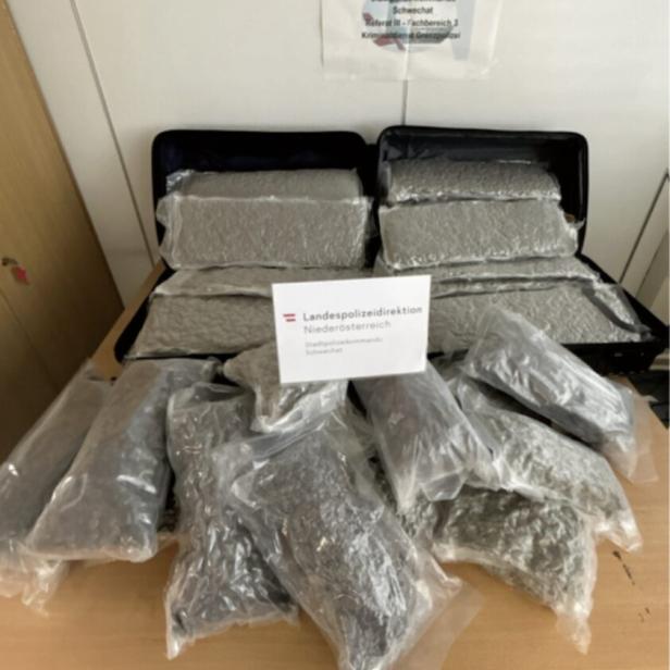 Fast 50 Kilo Cannabiskraut wurden sichergestellt.